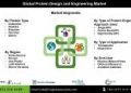 Protein Design and Engineering Market: Advancements in Protein-Based Drug Development and Therapeutics