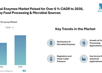 Industrial Enzymes Market Poised for Over 6 % CAGR to 2030, North America Largest, Asia-Pacific Fastest Growing, Driven by Food Processing & Microbial Sources