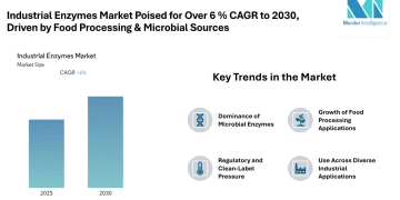 Industrial Enzymes Market Poised for Over 6 % CAGR to 2030, North America Largest, Asia-Pacific Fastest Growing, Driven by Food Processing & Microbial Sources