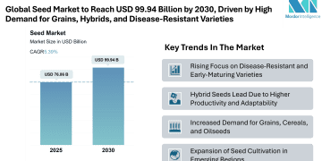 Seed Market Size to Reach USD 99.94 Billion by 2030, Says Mordor Intelligence’s Research