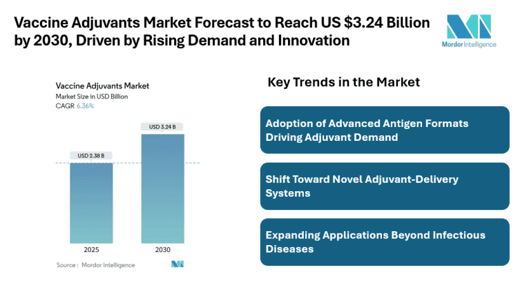 Vaccine Adjuvants Market Forecast to Reach US $3.24 Billion by 2030, Driven by Rising Demand and Innovation