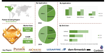 Bread Improvers Market Opportunities Development of Natural and Clean Label Formulations