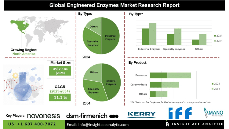 Engineered Enzymes Market Future Prospects Growth Potential and Investment Opportunities