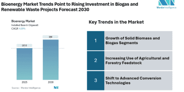 Bioenergy Market to Hit 200 GW by 2030, Driven by Increasing Heat and Fuel Demand, Solid Biomass Growth | Mordor Intelligence