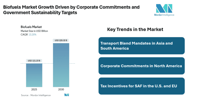 Biofuels Market Size Driven Sustainable Aviation Fuel Demand | Archer Daniels Midland Co, POET LLC, Neste Oyj, Valero Energy Corp