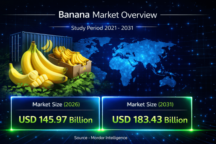 Banana Market Growth Trends: Market Size Expected at USD 145.97 Billion in 2026 with 4.63% CAGR Through 2031 