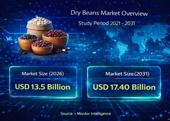 Dry Beans Market Size to Reach USD 17.40 Billion by 2031 – Mordor Intelligence