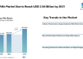 Sniper Rifle Market Size to Reach USD 2.56 Billion by 2031 Driven by Defense Modernization, Multi-Caliber Platforms, and Advanced Optics – Mordor Intelligence