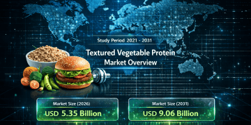Textured Vegetable Protein Market Size to Reach USD 9.06 Billion by 2031 – Mordor Intelligence