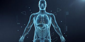 $61.97 Billion by 2029 — How AI-Powered Reconstruction and Spatial Computing Are Transforming Visual Intelligence